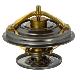 Termostatas Zetor Wahler URI 7001 1316 w