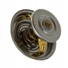 Termostatas Zetor Wahler URI 7001 1316 w