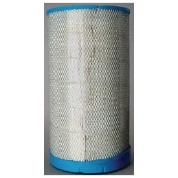 Zew Donaldson oro filtro įdėklas P613333
