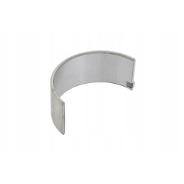 L0000807 acetabulum