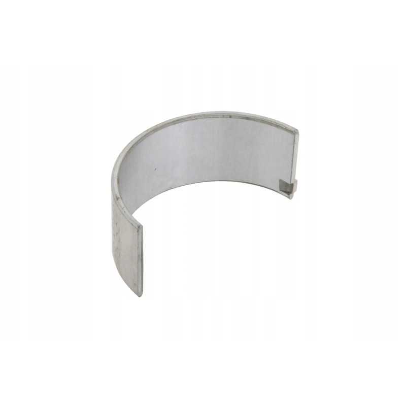 L0000807 acetabulum