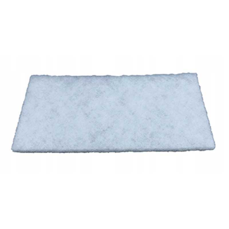 Fleetguard AF55769 oro filtras