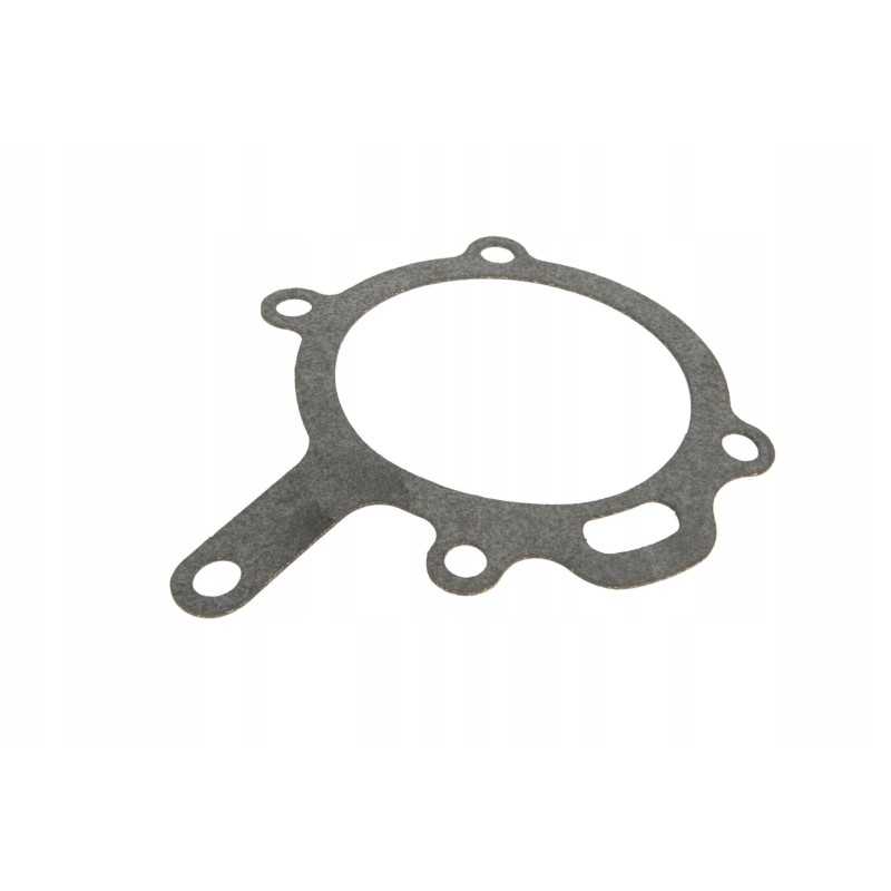 3687t002 perkins vandens siurblio tarpiklis