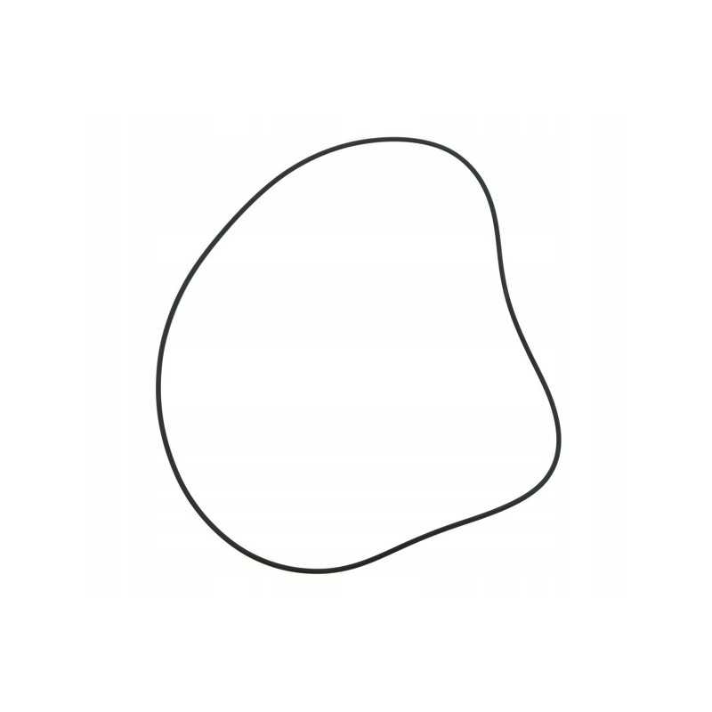 Sandarinimo žiedas 210x2 4 colių 930213