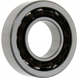 Kampinis kontaktinis rutulinis guolis 7204 b 20x47x14 mm granitas