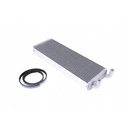 173369 0 radiatorius