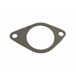 Įsiurbimo kolektoriaus tarpinė c385 80005082