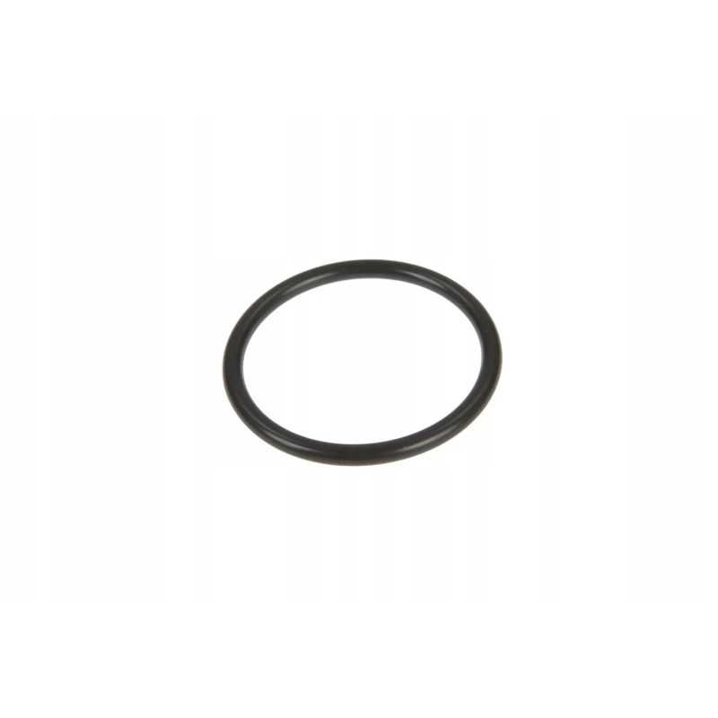 99 Įpurškimo siurblio dalies sandarinimo žiedas