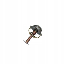 Termostatas C 360 originalus Ursus 50513091