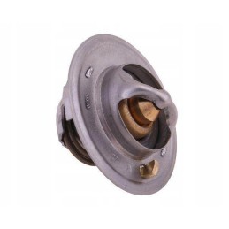 Termostatas 6005012123 Renault Polmo Motogeneric