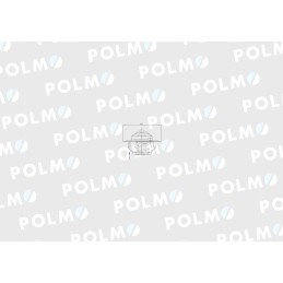 Termostatas 6005012123 Renault Polmo Motogeneric