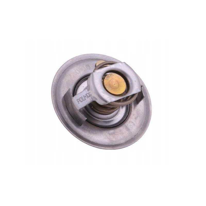 Termostatas 6005012123 Renault Polmo Motogeneric