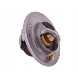 Termostatas 6005012123 Renault Polmo Motogeneric