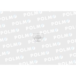 Termostatas 6005012123 Renault Polmo Motogeneric