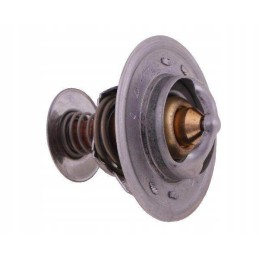 Termostatas ar61538 john deere polmo motogeneric