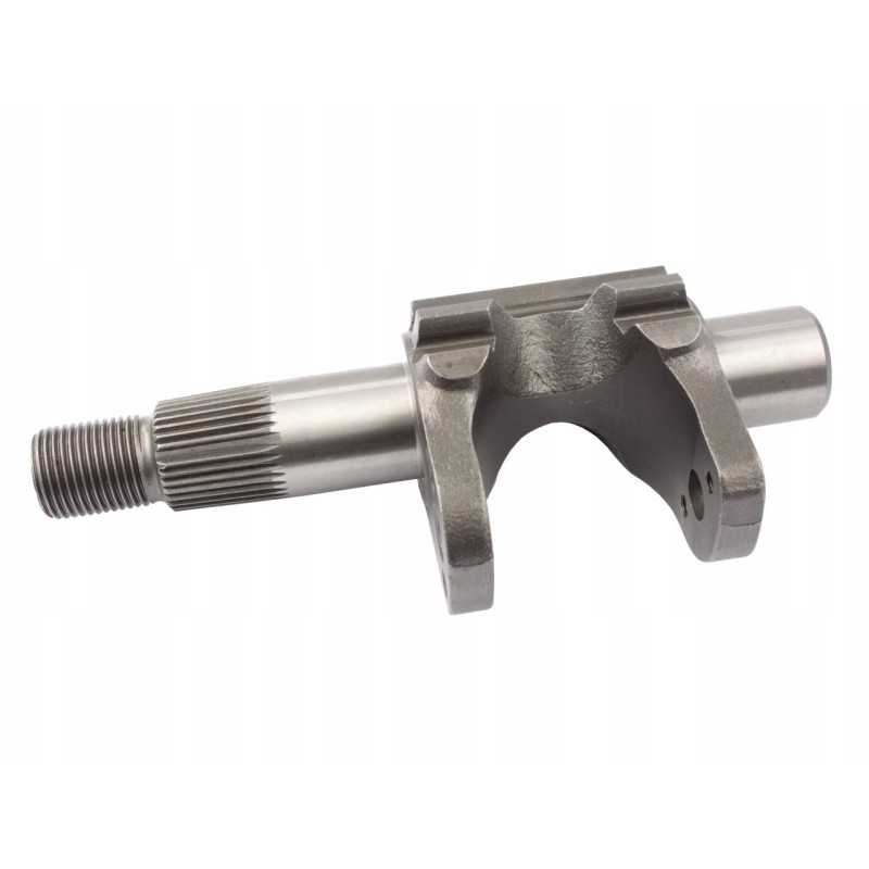 Vairo sistemos dantytas velenas 1861704m1