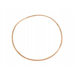 Variklio įdėklo poveržlė c 385 80002002