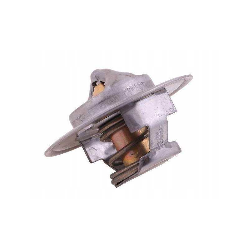 Termostato 162000060701 korpusas polmo motogeneric
