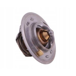 Termostato 162000060701 korpusas polmo motogeneric