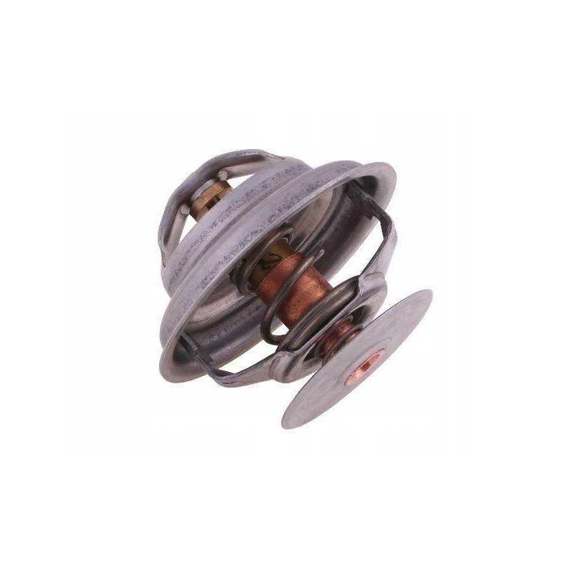 Termostato 162000060702 korpusas polmo motogeneric