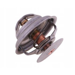 Termostato 162000060702 korpusas polmo motogeneric