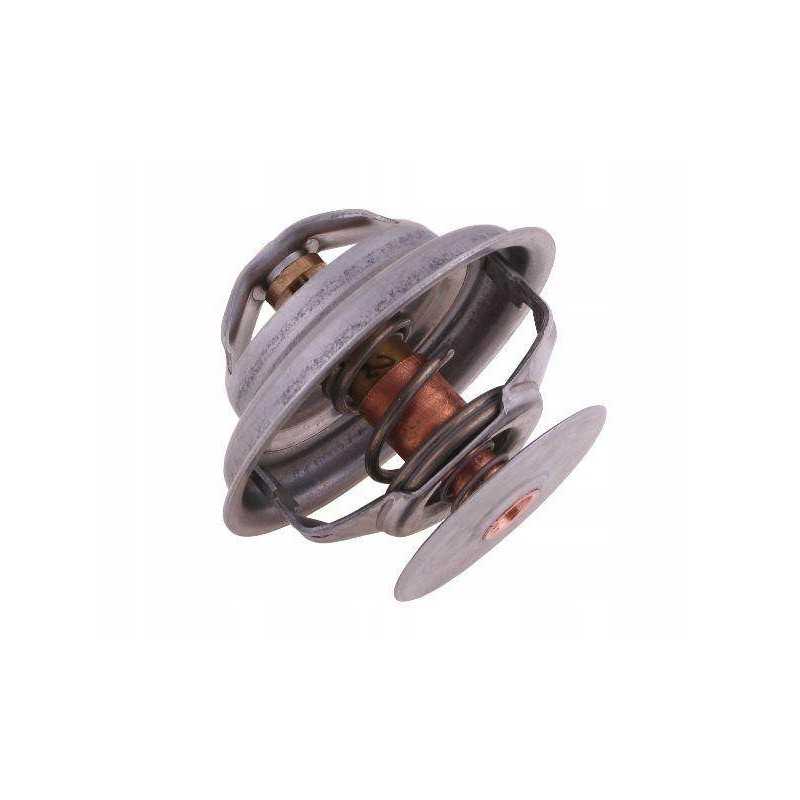 Termostato 162000060702 korpusas polmo motogeneric