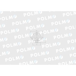 Termostato 162000060702 korpusas polmo motogeneric