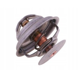 Termostato 162000060702 korpusas polmo motogeneric