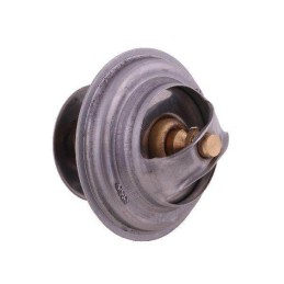 Termostato 162000060702 korpusas polmo motogeneric