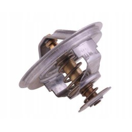 Termostato 130100060706 korpusas polmo motogeneric