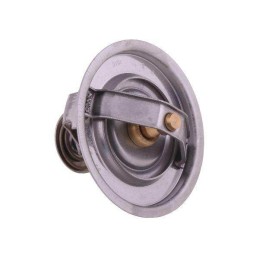 Termostato 130100060706 korpusas polmo motogeneric