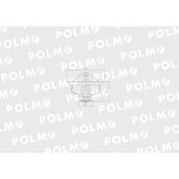 Termostato 130100060706 korpusas polmo motogeneric