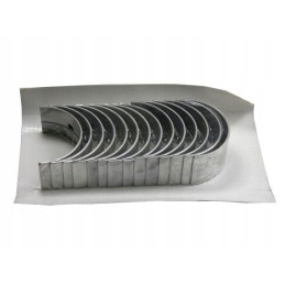 Pagrindinių guolių ir šlifavimo komplektas C 385 6 cyl 86002