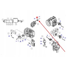 H816970020010 alyvos slėgio jutiklis