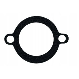 Vpe3920 termostato korpuso tarpiklis