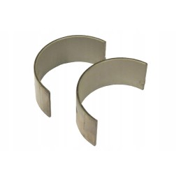 Pora švaistiklio guolių