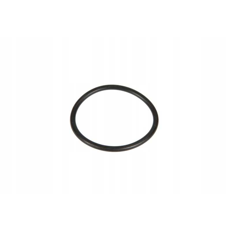 0122995400 turbo tarpiklis