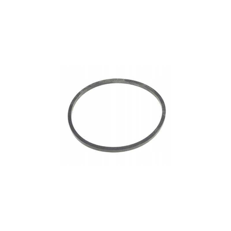 Alyvos filtro tarpiklis sw400 bizon sw 400 pc5542