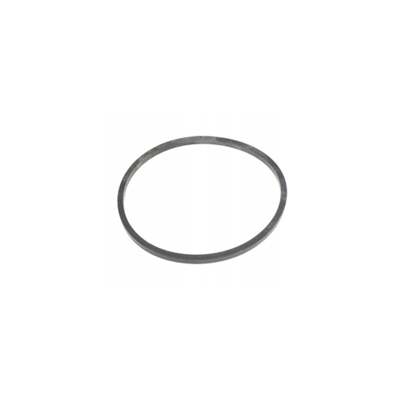 Alyvos filtro tarpiklis sw400 bizon sw 400 pc5542