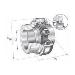 Guolio įdėklas ina fag ge40krrb