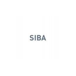 Stiklo saugiklis 4a l 20 mm siba