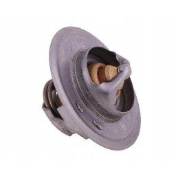 Termostatas 83913835 ford polmo motogeneric