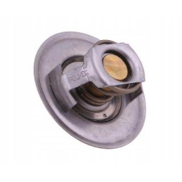 Termostatas 83913835 ford polmo motogeneric