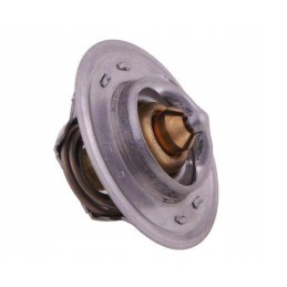 Termostatas 83916917 ford polmo motogeneric