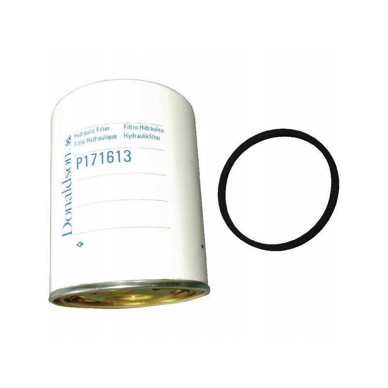 P171613 Donaldson hidraulinis filtras
