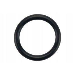 F716201610010n vandens siurblio sandariklis