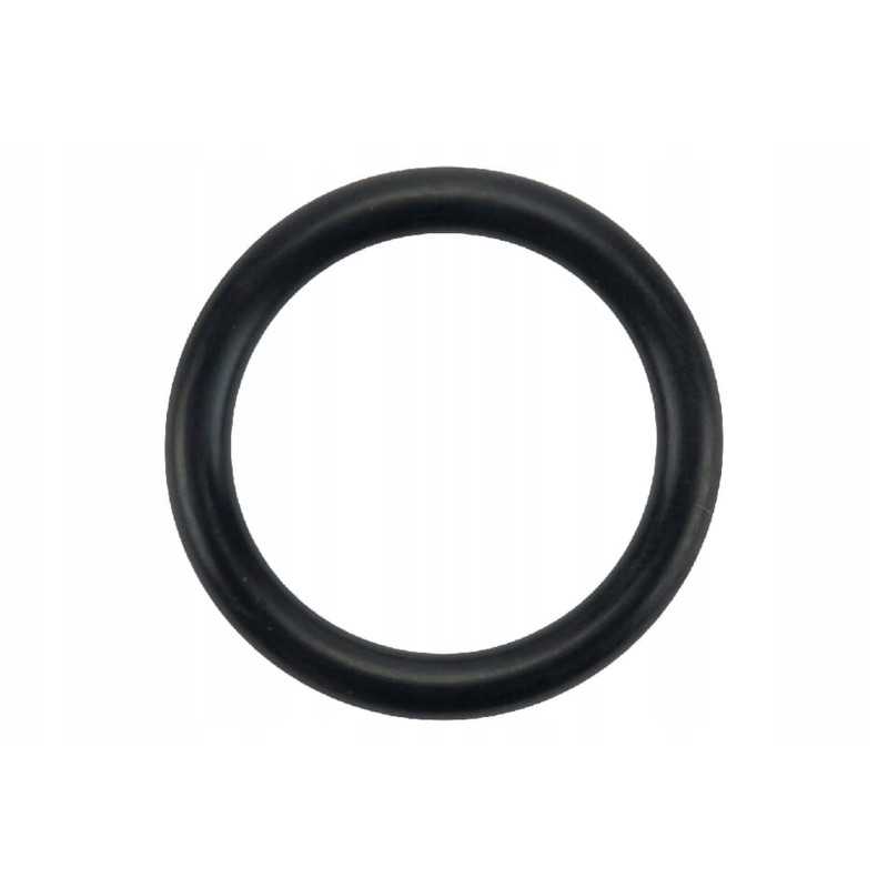 F716201610010n vandens siurblio sandariklis