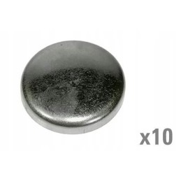 Vpc4606 variklio bloko kaištis 50 mm