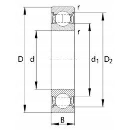 Rutulinis guolis paprastai 65x120x23 mm62132rsgp