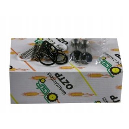 Hidraulinio siurblio vožtuvo kameros remonto rinkinys